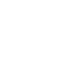 Diaz Combat Sports